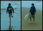 (31) hobie montage.jpg    (1000x720)    314 KB                              click to see enlarged picture